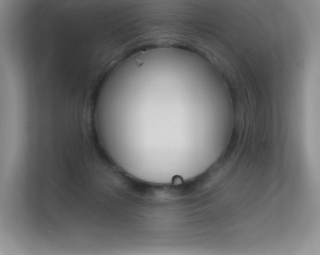 X0000113330268200909141013