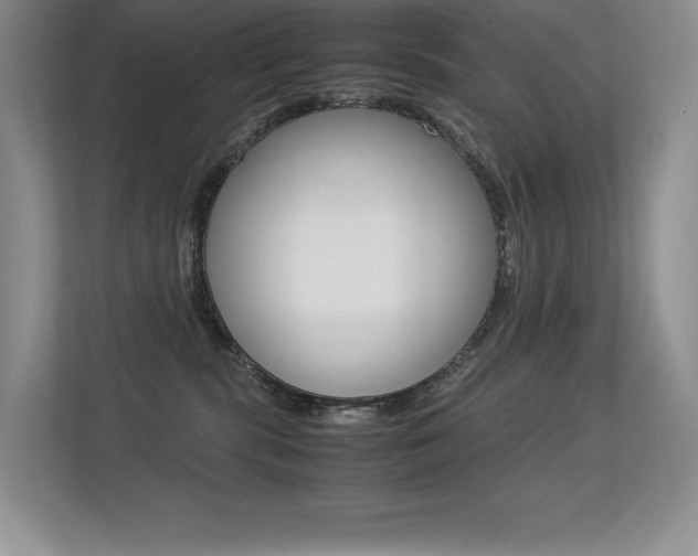 X0000113330283200909141013