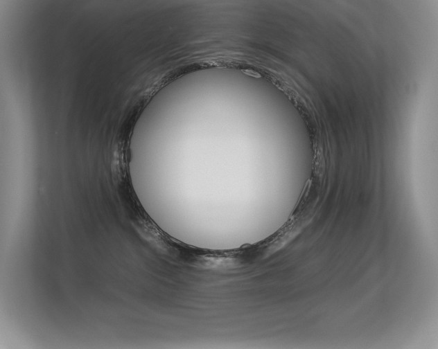 X0000113330284200909141013