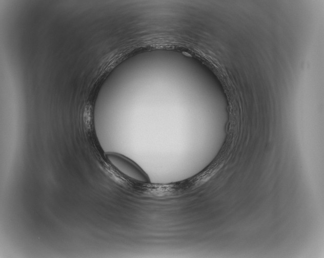 X0000113330288200909141013