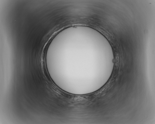X0000113330290200909141013