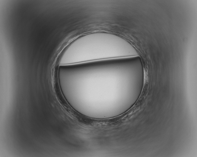 X0000113330291200909141013