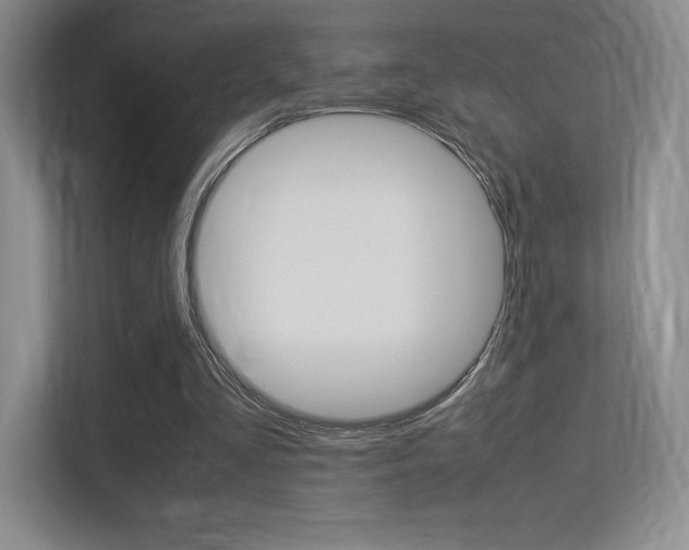 X0000113330293200909141013