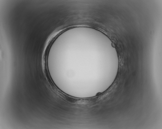 X0000113330294200909141013