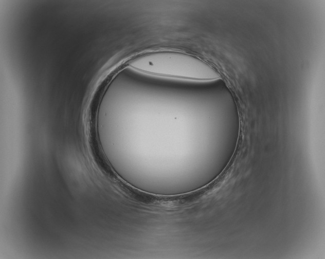 X0000113330295200909141013
