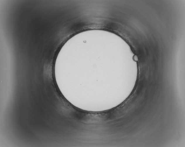 X0000113330297200909141013