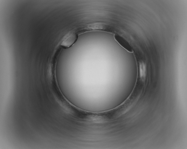 X0000113330300200909141012