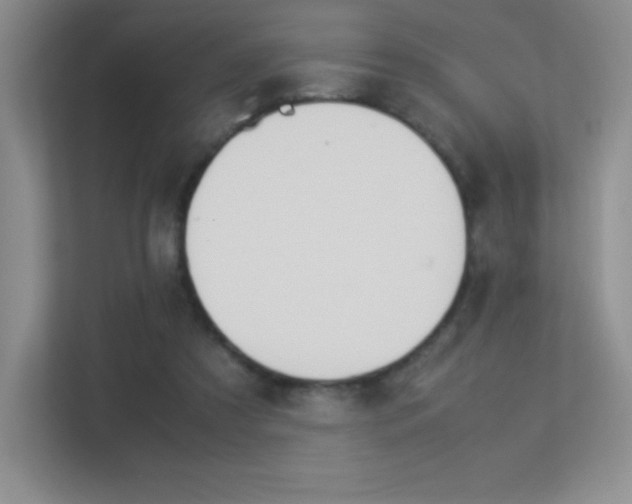 X0000113330305200909141012