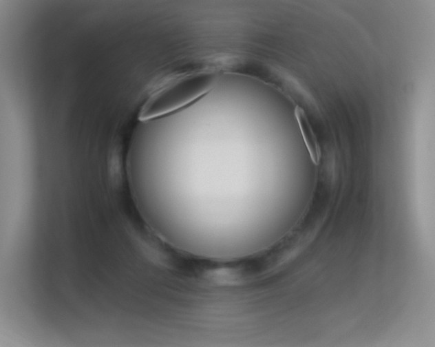 X0000113330312200909141012