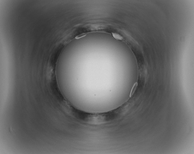 X0000113330327200909141012