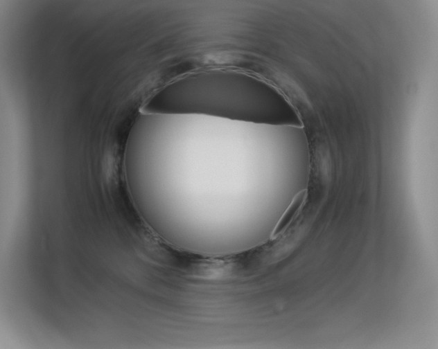 X0000113330328200909141012