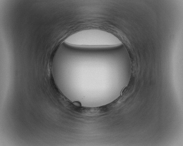 X0000113330329200909141012