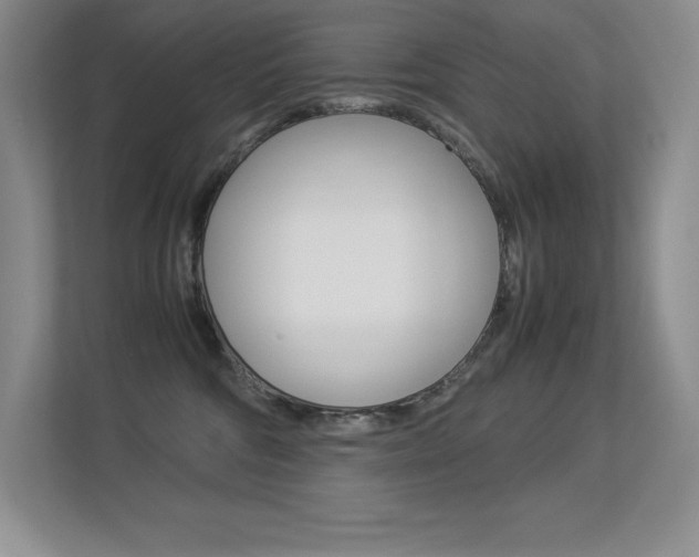X0000113330330200909141012