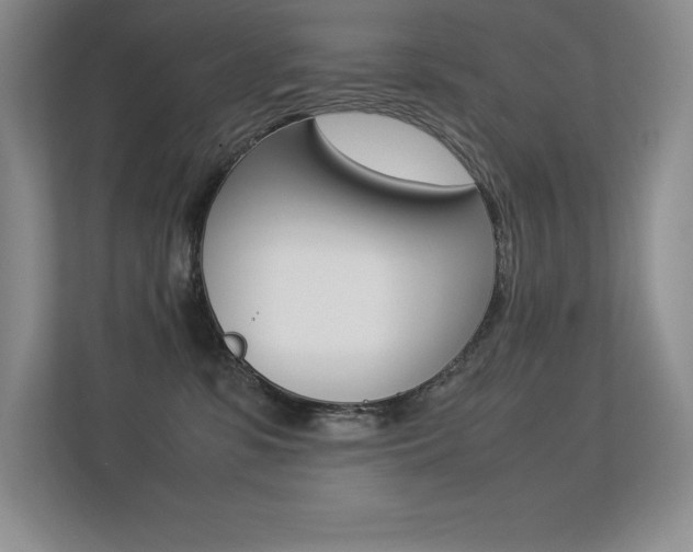 X0000113330331200909141012
