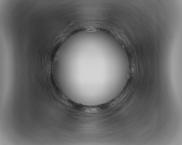 X0000113330332200909141012