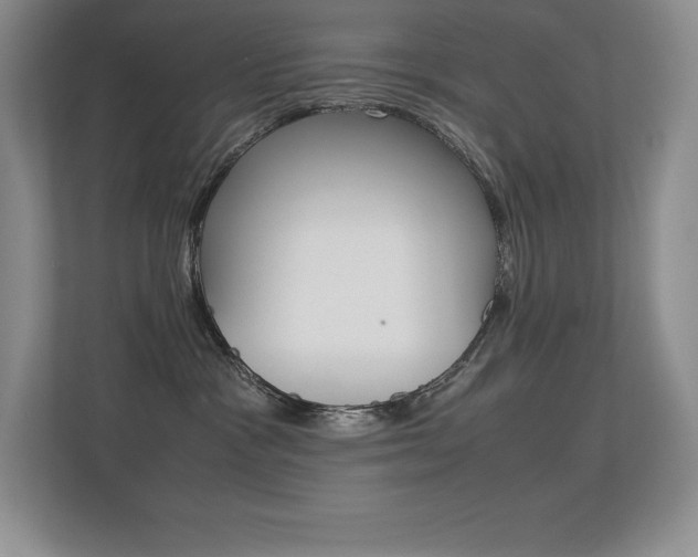 X0000113330333200909141012