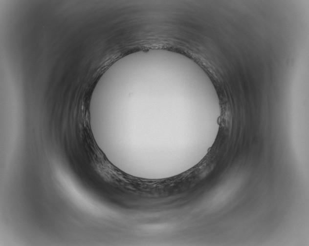 X0000113330334200909141012