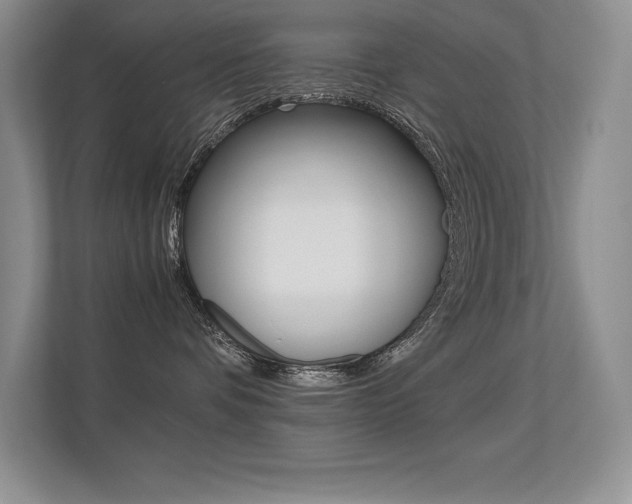 X0000113330336200909141012