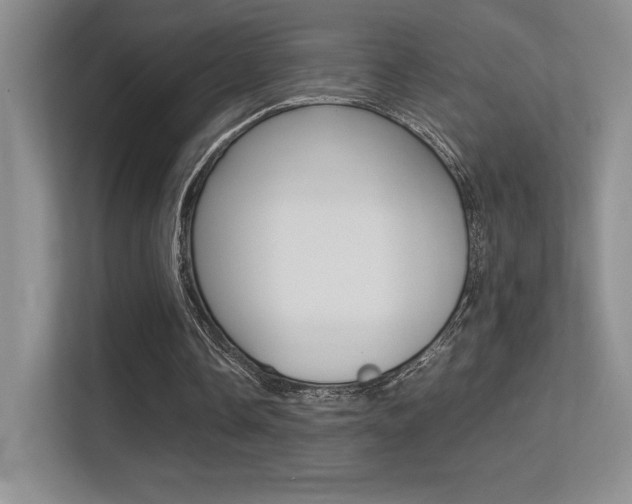 X0000113330338200909141011
