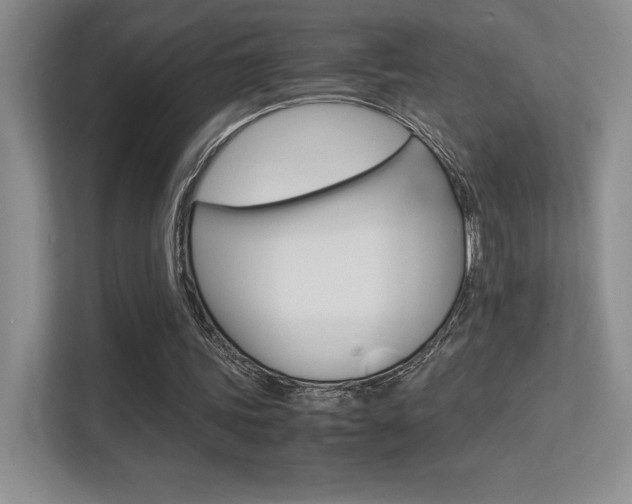 X0000113330339200909141011