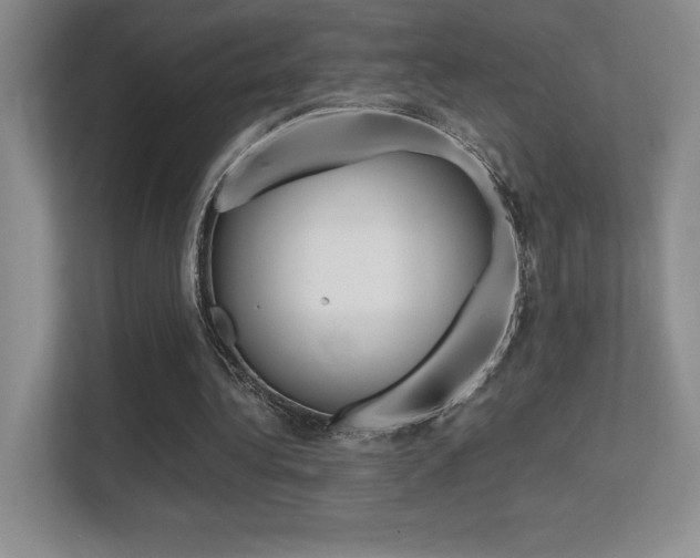 X0000113330340200909141011