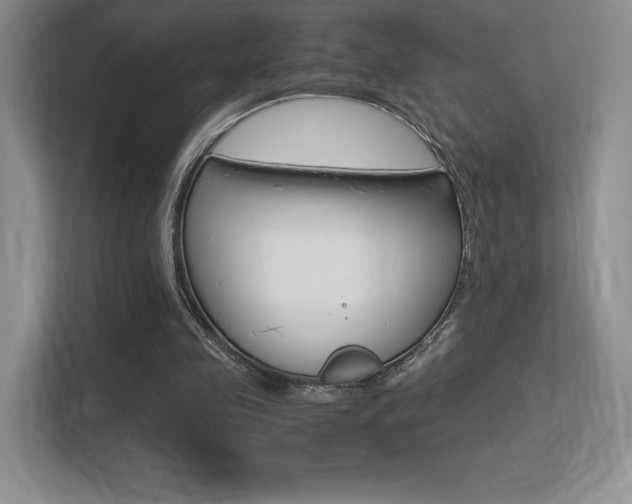 X0000113330341200909141011