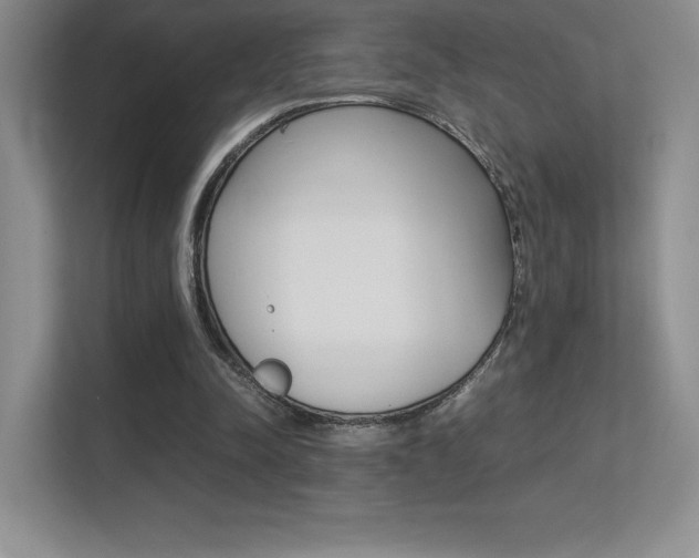 X0000113330342200909141011