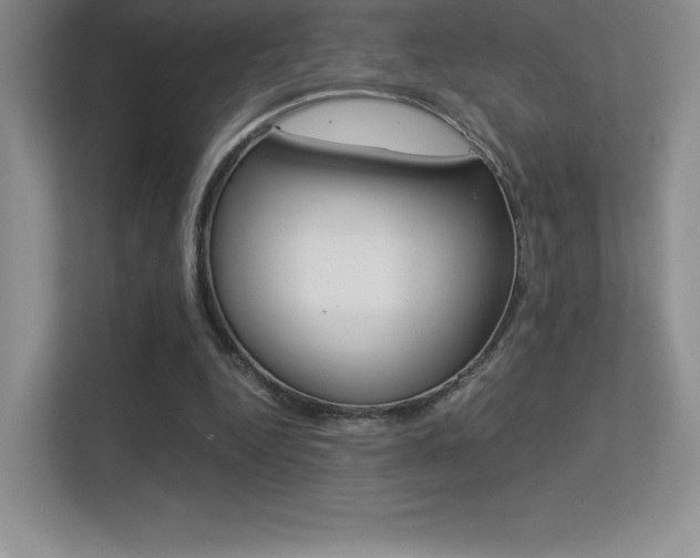 X0000113330344200909141011