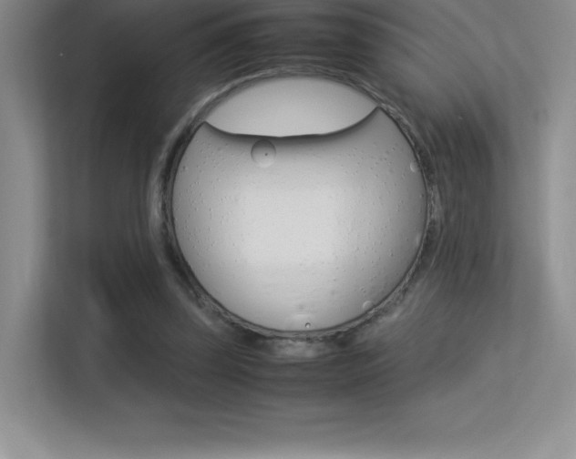 X0000113330347200909141012