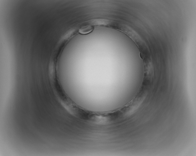 X0000113330352200909141012