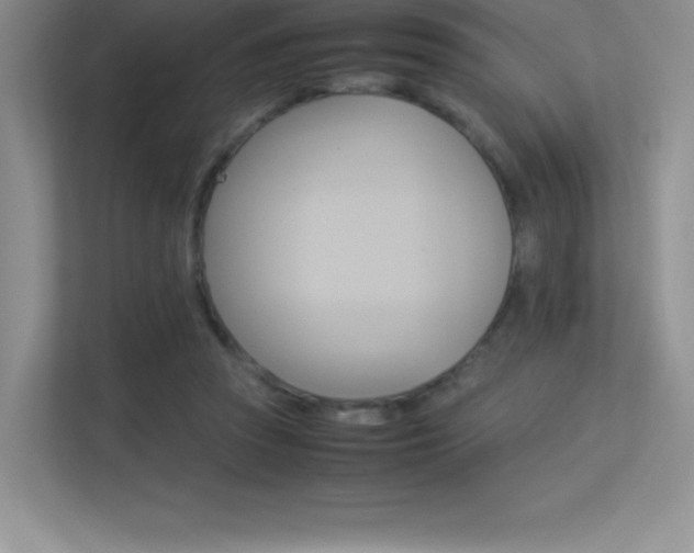 X0000113330353200909141012