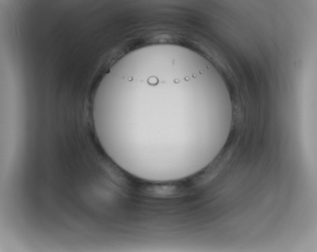 X0000113330361200909141012
