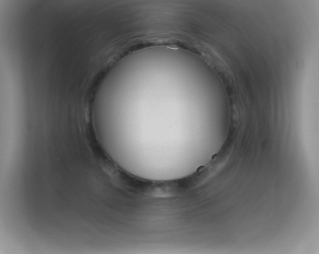 X0000113330368200909141012