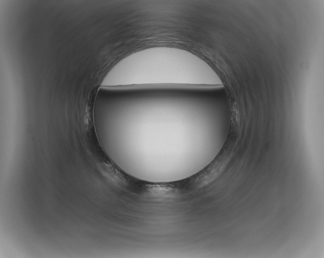 X0000113330380200909141012