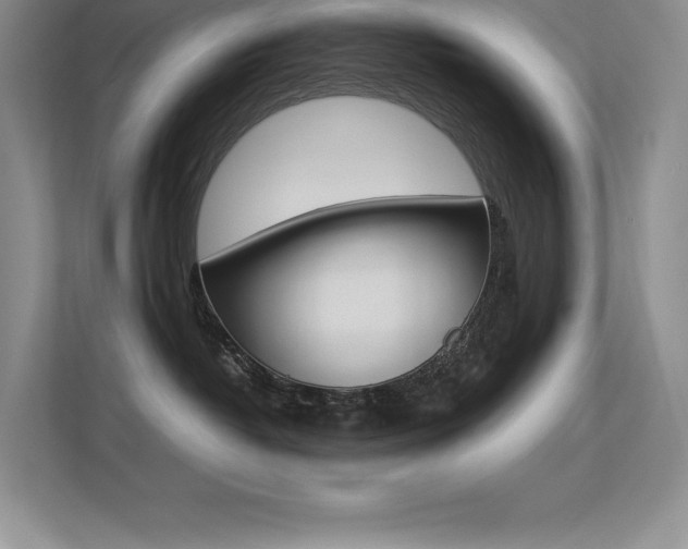 X0000113330382200909141012