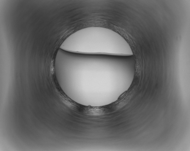 X0000113330383200909141012