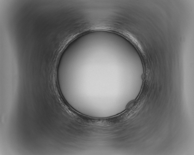 X0000113330385200909141011