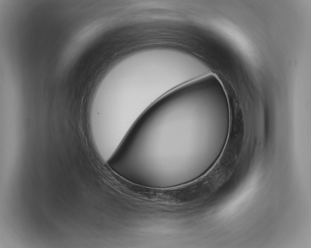 X0000113330387200909141011