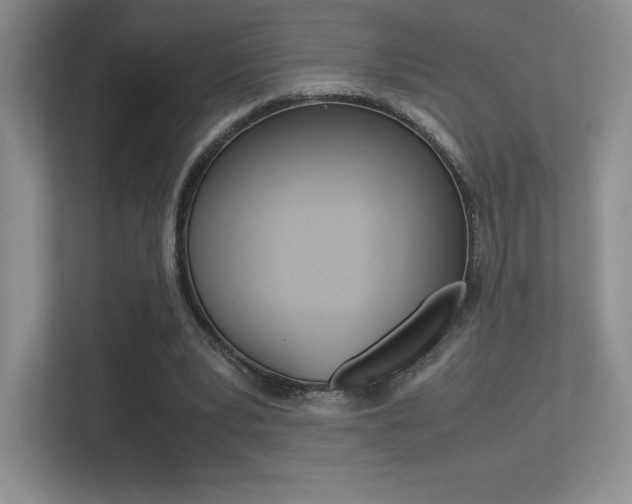 X0000113330391200909141011