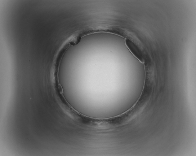 X0000113330395200909141011