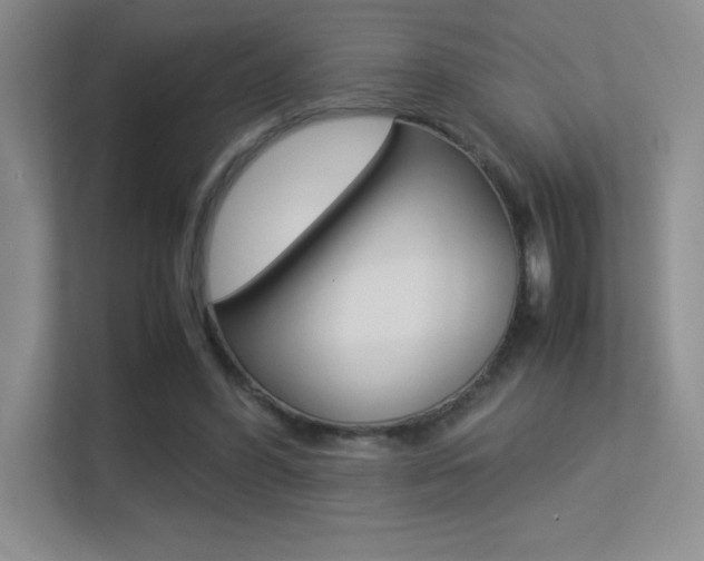 X0000113330396200909141011