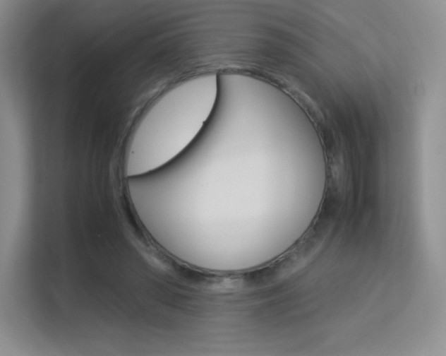 X0000113330398200909141011