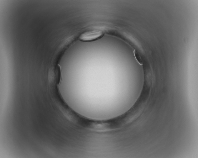 X0000113330407200909141011