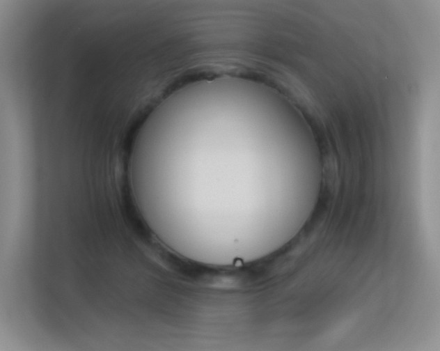 X0000113330412200909141011