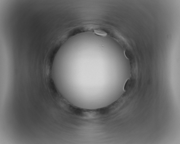 X0000113330417200909141011