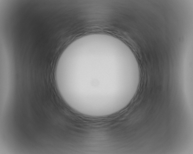 X0000113330419200909141011