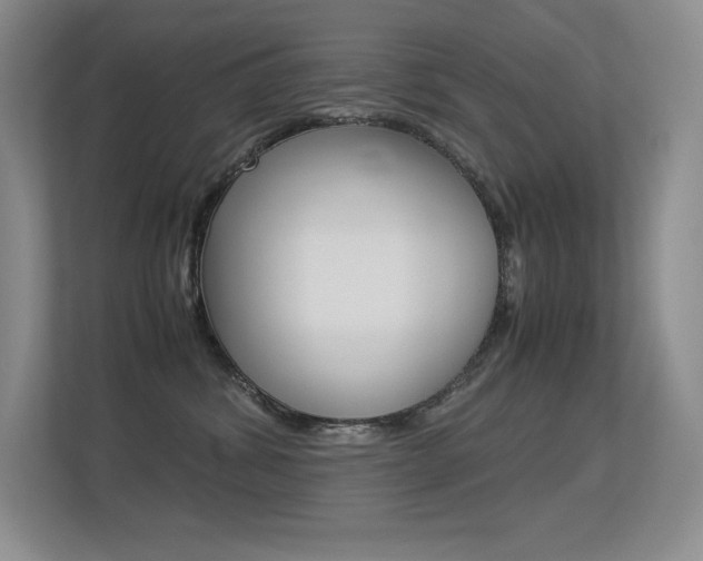 X0000113330428200909141011