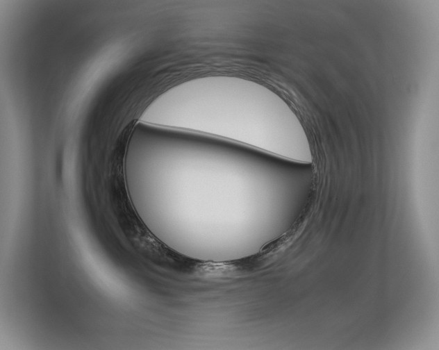 X0000113330429200909141011