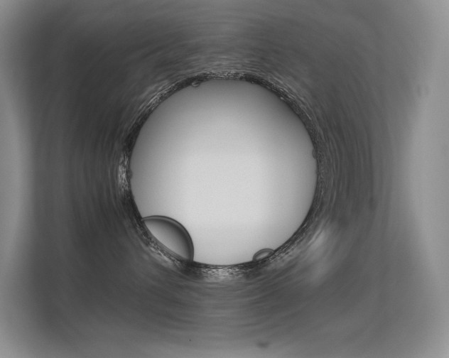 X0000113330432200909141011