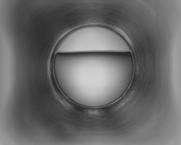 X0000113330439200909141010